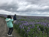 My mom pretending to take a scenic picture of my dad at the side of the road Hes really just taking a leak there were no bathrooms or trees nearby - we were road-tripping across Iceland