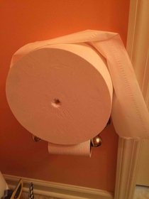my mom steals toilet paper