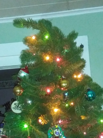 My mom thinks its fine I think it has erect tree dysfunction What do you think