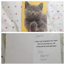 My mother got me this card for my birthday She thought the kitten was waving