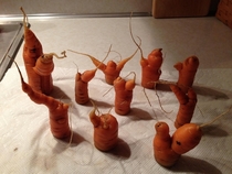 my mother just texted me this saying my carrot army is assembled
