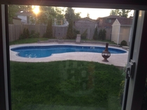 My mother thinks our pool looks like a kidney