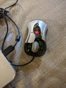 My mouse has joined Skynet