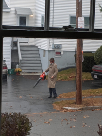 My neighbor is  kids in a trench coat
