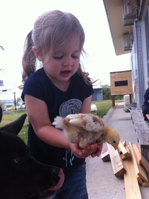 My niece about to accidentally feed this chick to my dog x-post - raww didnt appreciate imminent death