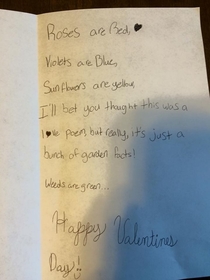 My nieces non-traditional valentine card