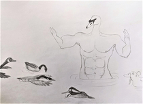 My older brother drew a Swan he feeds at central park