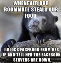 My relatively poor family lives in an apartment with a fat roommate that steals our food and uses facebook 