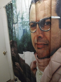 My room mate got this shower curtain for the communal bathroom