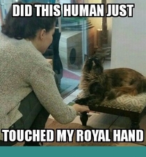 My royal hands