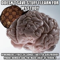 My Scumbag brain
