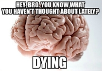 My scumbag brain last night when I was trying to fall asleep