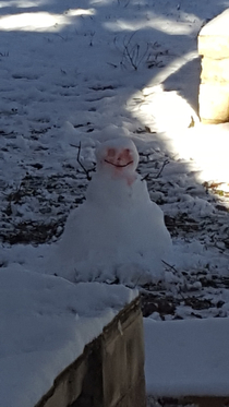 My sister built a snowman using peppermints for the eyes This is what her husband saw out the window the next morning