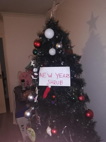 My sister left her Christmas tree up Tonight I made an addition Its fixed now