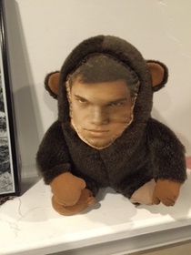 My sisters neighbor wore the face off her monkey so she fixed it with an old tee shirt