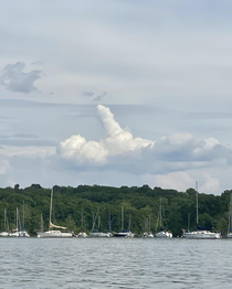 My son and I found the best cloud ever while kayaking last week