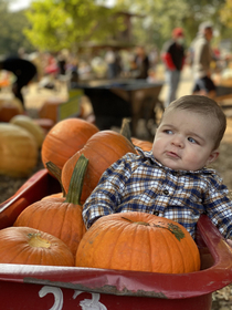 My son didnt smile once while at the pumpkin patch for the first he was very skeptical