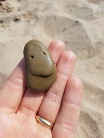 My son found this rock today at the beach We couldnt stop laughing about it