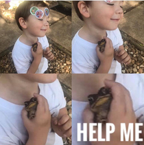 My son has to pick up every frog he finds