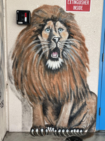 My sons MS mascot is apparently the Aghast Lions