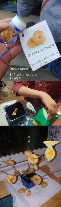 My sons st grade teacher gave her students Donut Seeds so we planted them