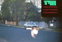 My states police facebook page posted this picture taken by a speeding camera Bird Bro saves the day