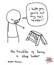 My Step Ladder