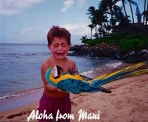 My trip to Hawaii circa 
