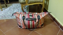 My vacation bag looks like a monster from Binding of Isaac