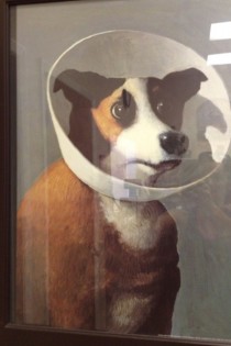 My vet has the best portrait at his office Sorry for the glare