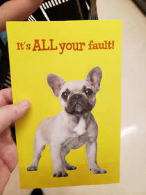 My wife asked me to help pick out a condolences card for her friend who had to put their dog down she didnt like my suggestion