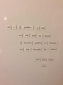 My wife didnt appreciate my fridge magnet poem