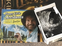 My wife gave me this Bob Ross book This photo was inside 