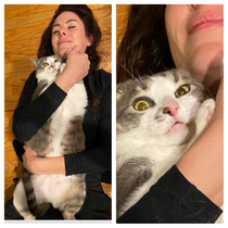 My wife has tried REALLY hard to get my cat to like her
