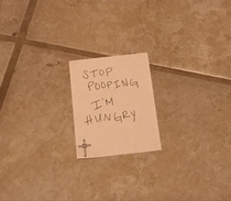 My wife just slid this under the bathroom door Apparently Im taking too long