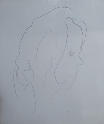 My wife likes to leave her hair on the shower wall Today it looked a little like a face so I moved like  strands around and made some art