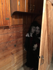 My wife put these Halloween decorations behind a door in our basement now I need new underwear