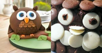 My wife tried to make an owl cake