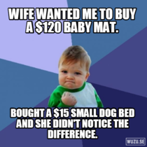 My wife wanted to spend too much money on the baby