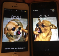 My wifes cousins are BFFs These are their lockscreen backgrounds