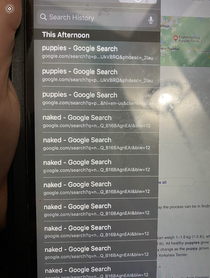 My -year old nephews search history is hilarious