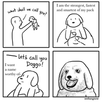Name your dog well