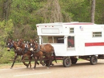 National Lampoons Amish Vacation