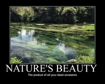 Natures Beauty