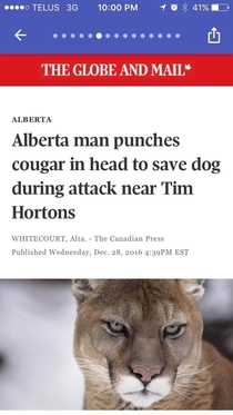 Never has there been a more Canadian news title