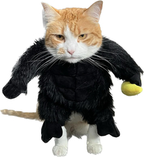 New IPhone feature cropped our cat in her gorilla costume and this was the result