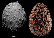 New type of asteroid confirmed the nutty chocolate egg