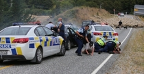 New Zealand Police chase stopped by flock of sheep