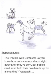 Newborn Centaurs
