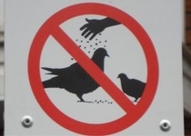 No bird seasoning